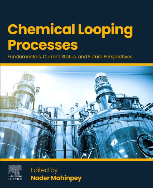 Book cover of: Chemical Looping Processes. By: Nader Mahinpey