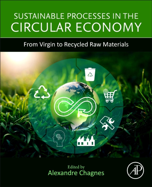 Book cover of: Sustainable Processes in the Circular Economy