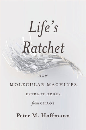 Life's Ratchet