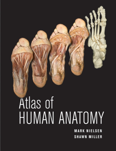 Book cover of: Atlas of Human Anatomy. By: Mark T. Nielsen
