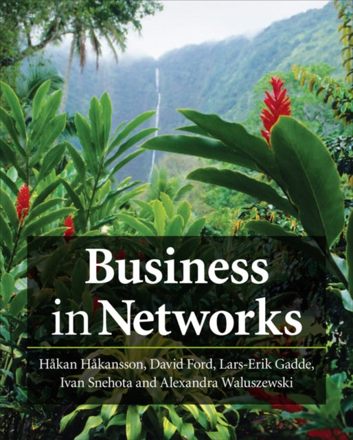 Book cover of: Business in Networks
