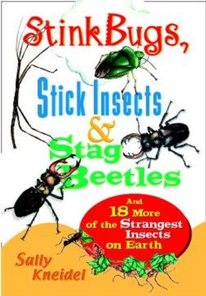 Stink Bugs, Stick Insects, and Stag Beetles