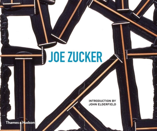 Book cover of: Joe Zucker. By: John Elderfield