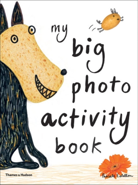 Book cover of: My Big Photo Activity Book