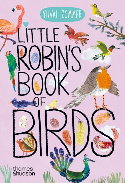 Book cover of: Little Robin's Book of Birds. By: Yuval Zommer