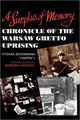 Book cover of: Surplus of Memory
