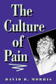 Book cover of: Culture of Pain