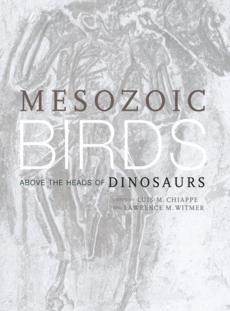 Book cover of: Mesozoic Birds