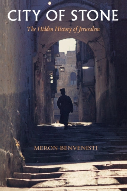 Book cover of: City of Stone. By: Meron Benvenisti