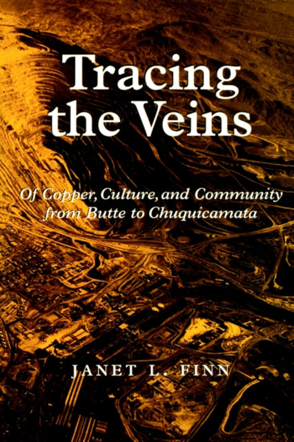 Book cover of: Tracing the Veins