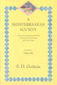 Book cover of: Mediterranean Society, Volume IV. By: S. D. Goitein