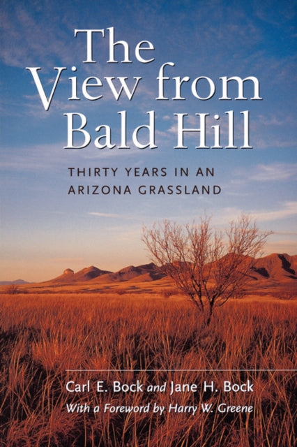 Book cover of: View from Bald Hill. By: Carl E. Bock
