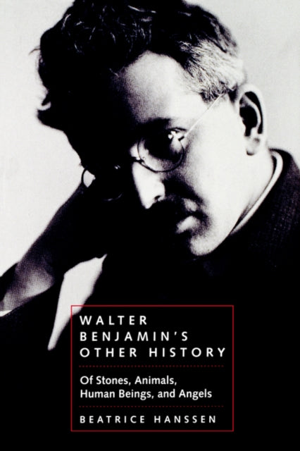Book cover of: Walter Benjamin's Other History. By: Beatrice Hanssen