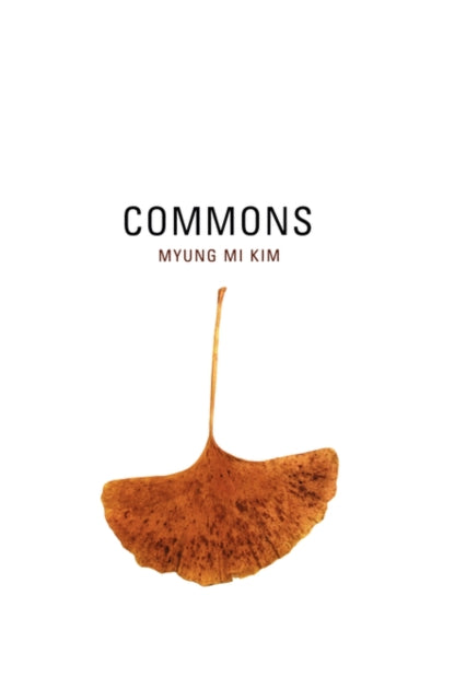 Book cover of: Commons