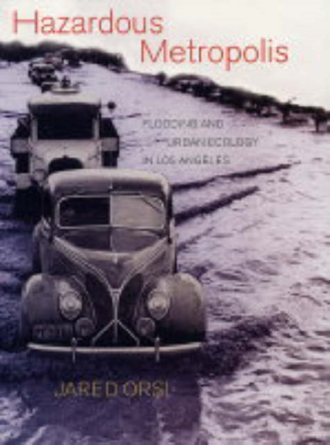 Book cover of: Hazardous Metropolis