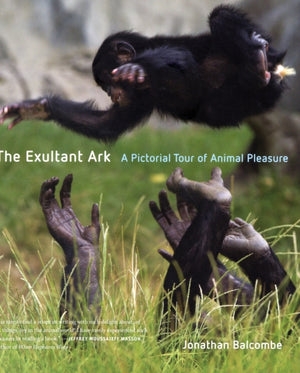 Exultant Ark