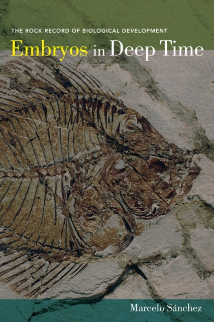 Book cover of: Embryos in Deep Time. By: Marcelo R. Sánchez