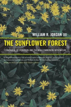 Sunflower Forest