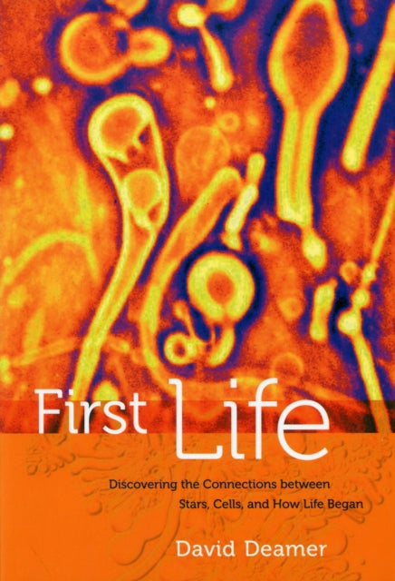 Book cover of: First Life. By: David Deamer