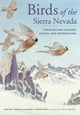 Book cover of: Birds of the Sierra Nevada. By: Edward C. Beedy