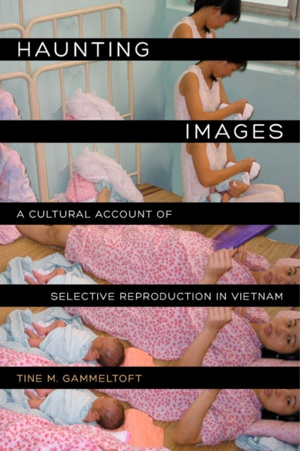 Book cover of: Haunting Images. By: Tine M. Gammeltoft