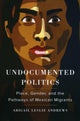 Book cover of: Undocumented Politics. By: Andrews - undifferentiated