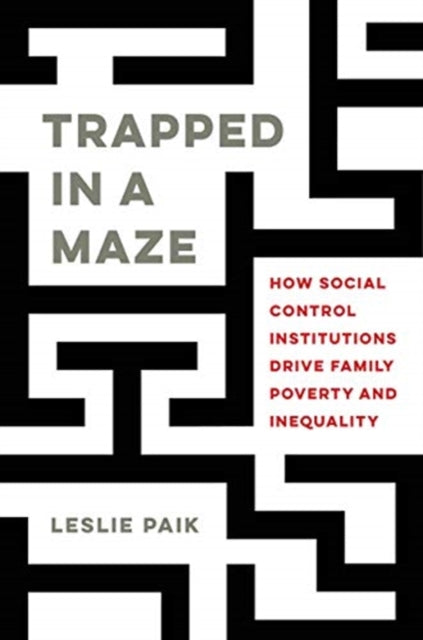 Book cover of: Trapped in a Maze. By: Leslie Paik