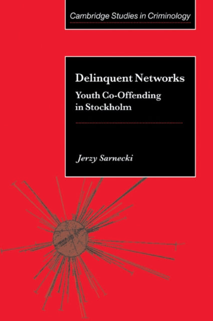 Book cover of: Delinquent Networks. By: Jerzy Sarnecki