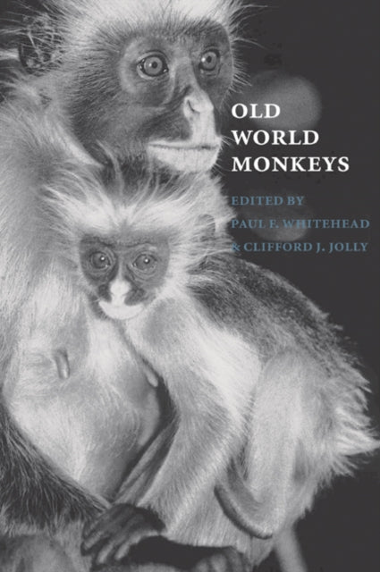 Book cover of: Old World Monkeys