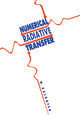 Book cover of: Numerical Radiative Transfer. By: Wolfgang Kalkofen
