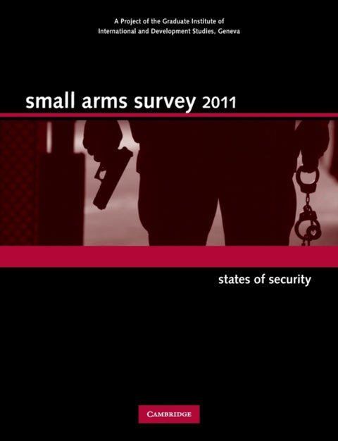 Small Arms Survey 2011