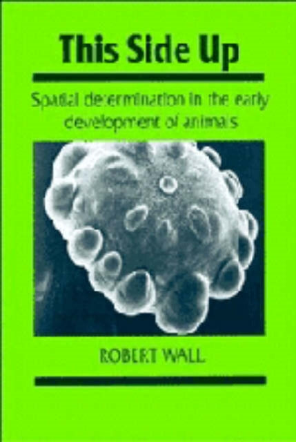 Book cover of: This Side Up