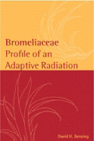 Bromeliaceae