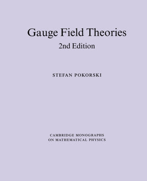 Gauge Field Theories