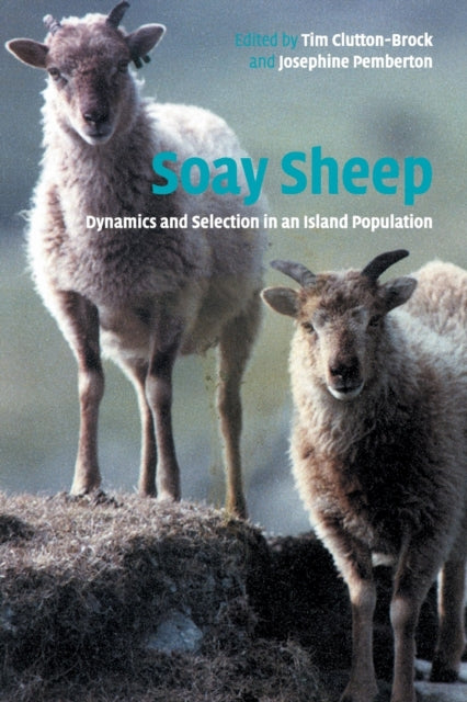 Book cover of: Soay Sheep