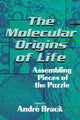 Book cover of: Molecular Origins of Life. By: Andri Brack