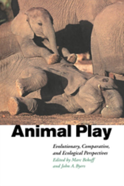 Book cover of: Animal Play