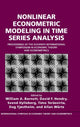 Book cover of: Nonlinear Econometric Modeling in Time Series