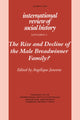 Book cover of: Rise and Decline of the Male Breadwinner Family?. By: Angelique Janssens