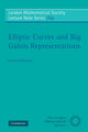 Book cover of: Elliptic Curves and Big Galois Representations. By: Daniel Delbourgo