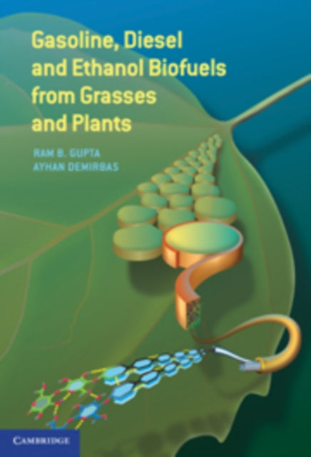 Book cover of: Gasoline, Diesel, and Ethanol Biofuels from Grasses and Plants. By: Ram B. Gupta