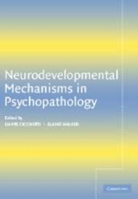Book cover of: Neurodevelopmental Mechanisms in Psychopathology