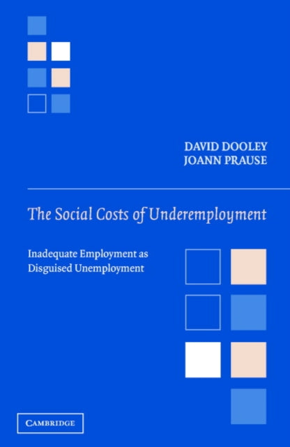 Book cover of: Social Costs of Underemployment. By: David Dooley