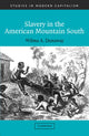 Book cover of: Slavery in the American Mountain South