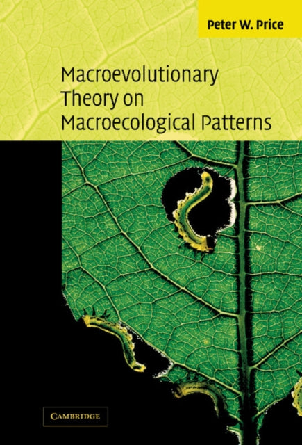 Book cover of: Macroevolutionary Theory on Macroecological Patterns. By: Peter W. Price