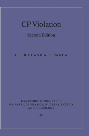 CP Violation