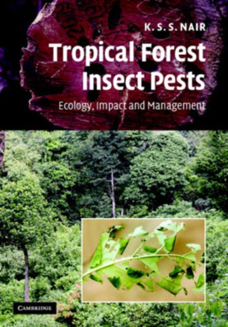 Book cover of: Tropical Forest Insect Pests. By: K. S. S. Nair