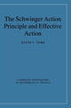 Book cover of: Schwinger Action Principle and Effective Action. By: David J. Toms