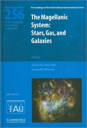 Magellanic System (IAU S256)
