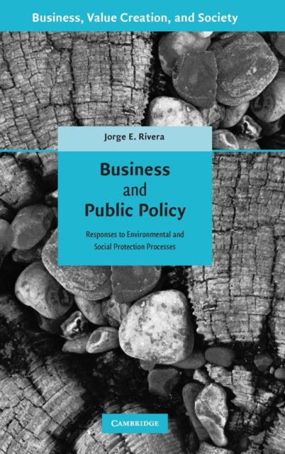Book cover of: Business and Public Policy. By: Jorge E. Rivera